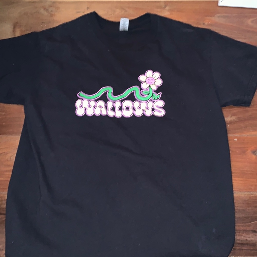 wallows graphic tee